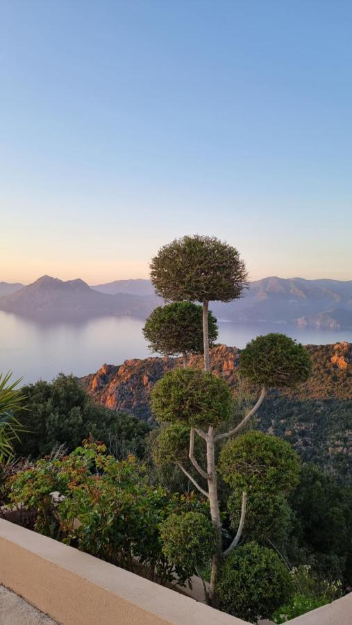 Résidence Le Bella Vista Piana  Esterno foto