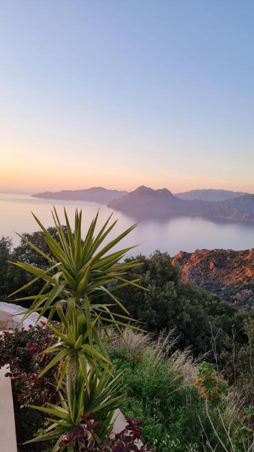 Résidence Le Bella Vista Piana  Esterno foto