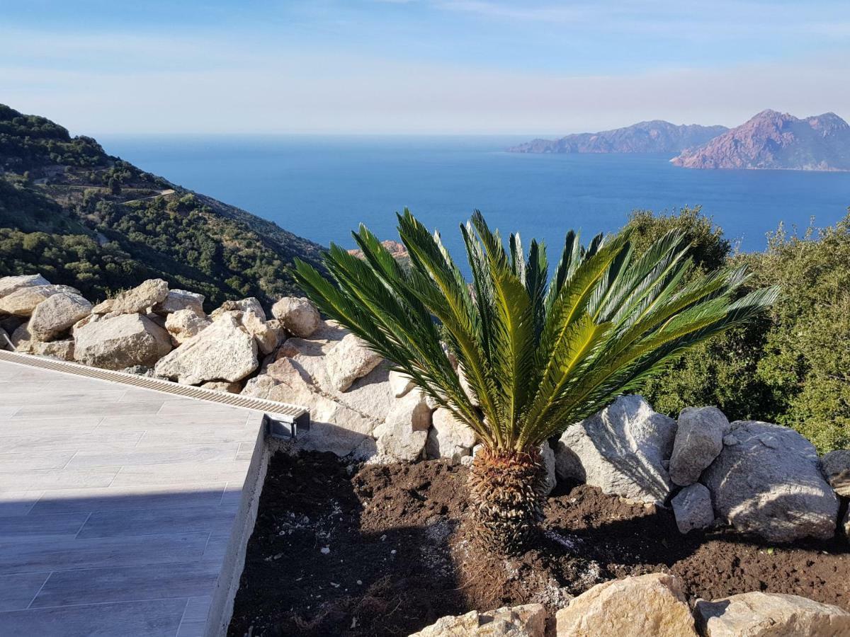 Résidence Le Bella Vista Piana  Esterno foto